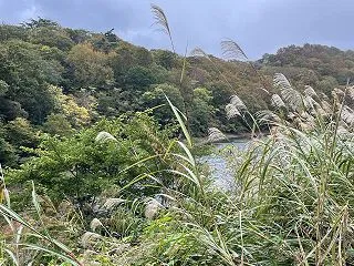 単発で撮った写真