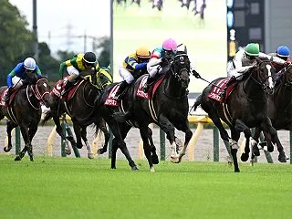 【富士ステークス・トルマリンステークス・…