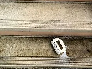 デッキブラシ地獄で筋肉痛/ゼニゴケが枯れ…