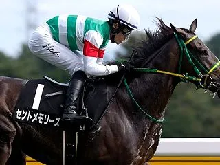 週末の出走 越後路