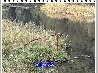 雨で傾いた・・・