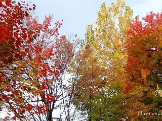 【出費が増え】＞賃貸一人暮らしの生活費月…
