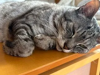 何かがくる予感 ＆ データ流出 ＆ 【動…
