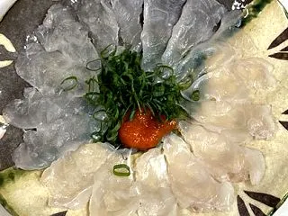 サバフグの刺身
