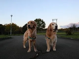 誤報でほんと良かったよね～