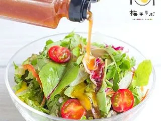 梅ドレッシングおすすめ人気ランキング！売…
