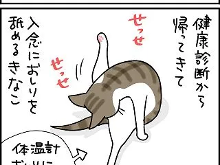 おしりはキレイ
