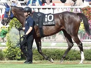 ☆★☆ 飼い主孝行5歳世代 ★☆★ セン…