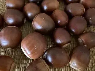 片付けを頑張りすぎた結果
