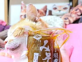 特選みそ漬大根