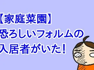 【家庭菜園】恐ろしいフォルムの入居者がい…