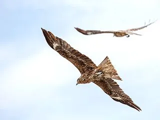 【2026年10月第3週】神奈川県のイベ…