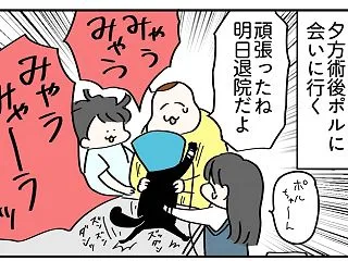 ポルちゃんが肥満細胞腫⑦
