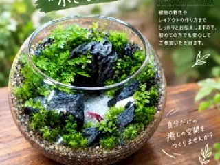 週末のイベントを紹介させてください(^_…