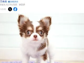 【Yahoo!】ペットショップ運営者ら逮…