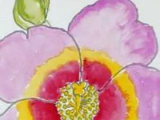 フヨウの絵手紙