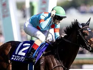 今週の愛馬