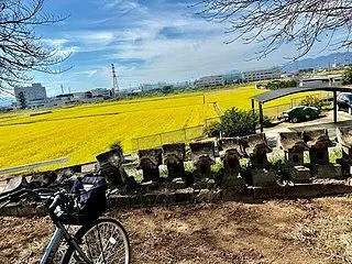 純米 八甲田 冷やと燗 ＋ チラシ銀輪部…