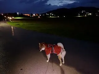 雨が降ったり晴れたりで、天気がコロコロ変…