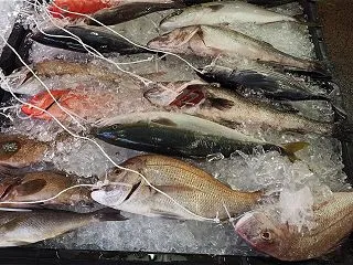 お盆明けの魚市場イベント – 2026年…