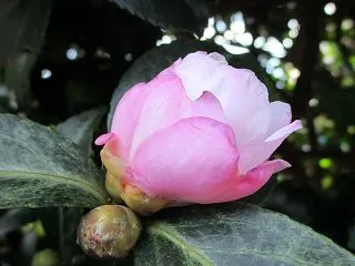 秋を楽しむ