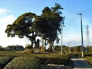 大庭愛玉翁顕彰碑が建つ 古墳時代中期の円…