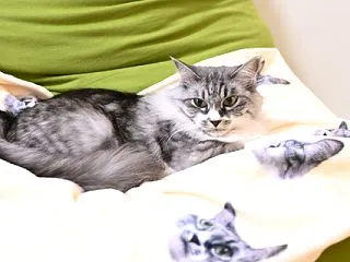 ひとりでできるかな