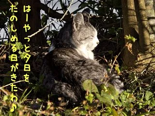 奇襲はやめろ