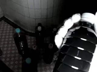 【in-facto短編ホラー】呪いが感染…