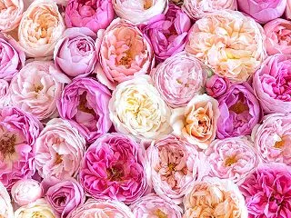 本来の私へ戻る♡「自分を感じる90秒ワー…