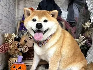 寒暖差に注意