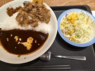 カシミールカレギュウとスキマバイトの日々