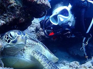 ヌヌ・アドベンチャー・クラブ石垣島ＮＥＷ…