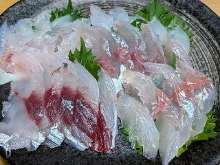 久々の網代の釣果料理
