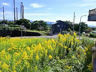 初音ヶ原遺跡 他 ──三島市の歴史の息吹…