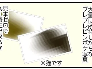 飼い主が大量に所持しがちなブレブレピンボ…