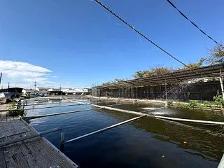  ヘラブナ釣り 当たりを待つ(2)