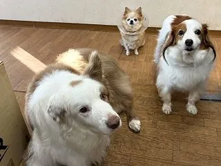 もっと協力してよ～(^▽^;)