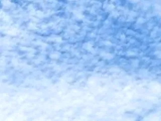 今日の万歩計