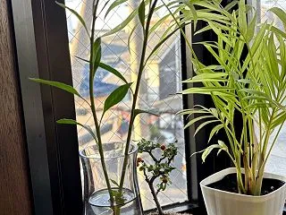 10月16日の独り言♪お花たち〜