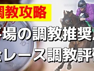 10月17日の平場調教推奨馬＋オリジナル…