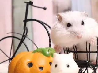 相談しよう