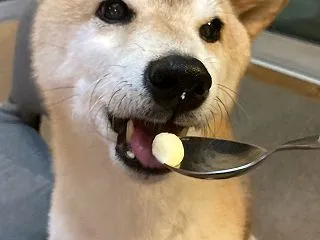 バスクチーズケーキ
