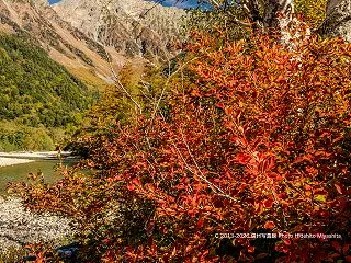 紅葉上高地