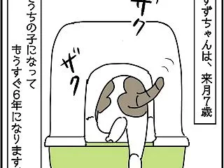 すずのこと