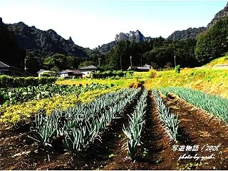 山麓集落