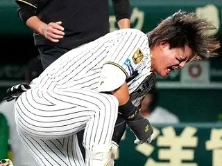 阪神・前川右京、死球で「左手小指の骨折」…