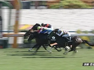 【紫菊賞】ビップヴィーナス＆松若騎手がｷ…