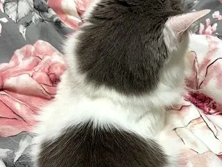今年はうまくいきそうなこと