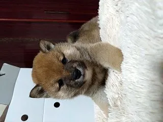 前を向いて歩こう。